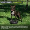 image:imageProsourceFit Core Balance Disc Trainer 14 Diameter with Pump for Improving Posture Fitness StabilityBlack