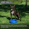 image:imageProsourceFit Core Balance Disc Trainer 14 Diameter with Pump for Improving Posture Fitness StabilityBlue
