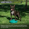 image:imageProsourceFit Core Balance Disc Trainer 14 Diameter with Pump for Improving Posture Fitness StabilityGreen
