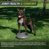 image:imageProsourceFit Core Balance Disc Trainer 14 Diameter with Pump for Improving Posture Fitness StabilityGrey