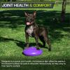 image:imageProsourceFit Core Balance Disc Trainer 14 Diameter with Pump for Improving Posture Fitness StabilityPurple